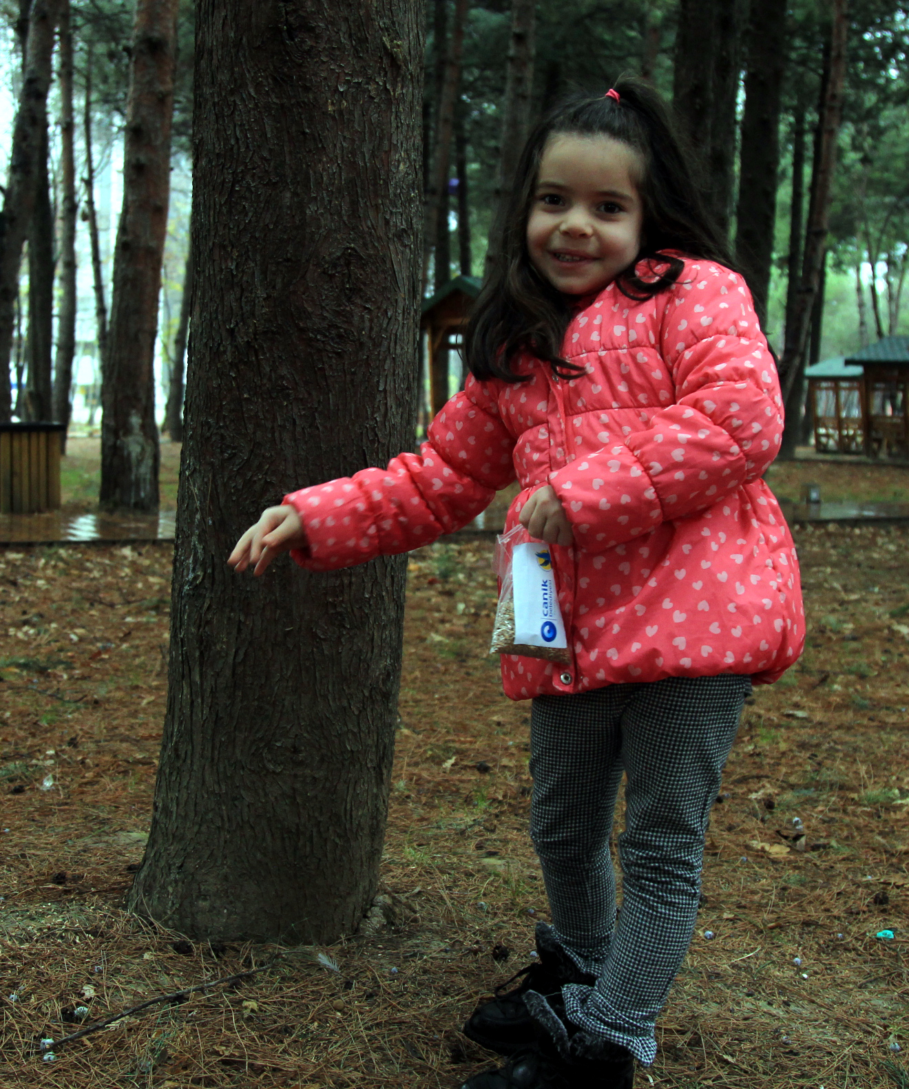 20191226-2-40033396-50695055.jpg