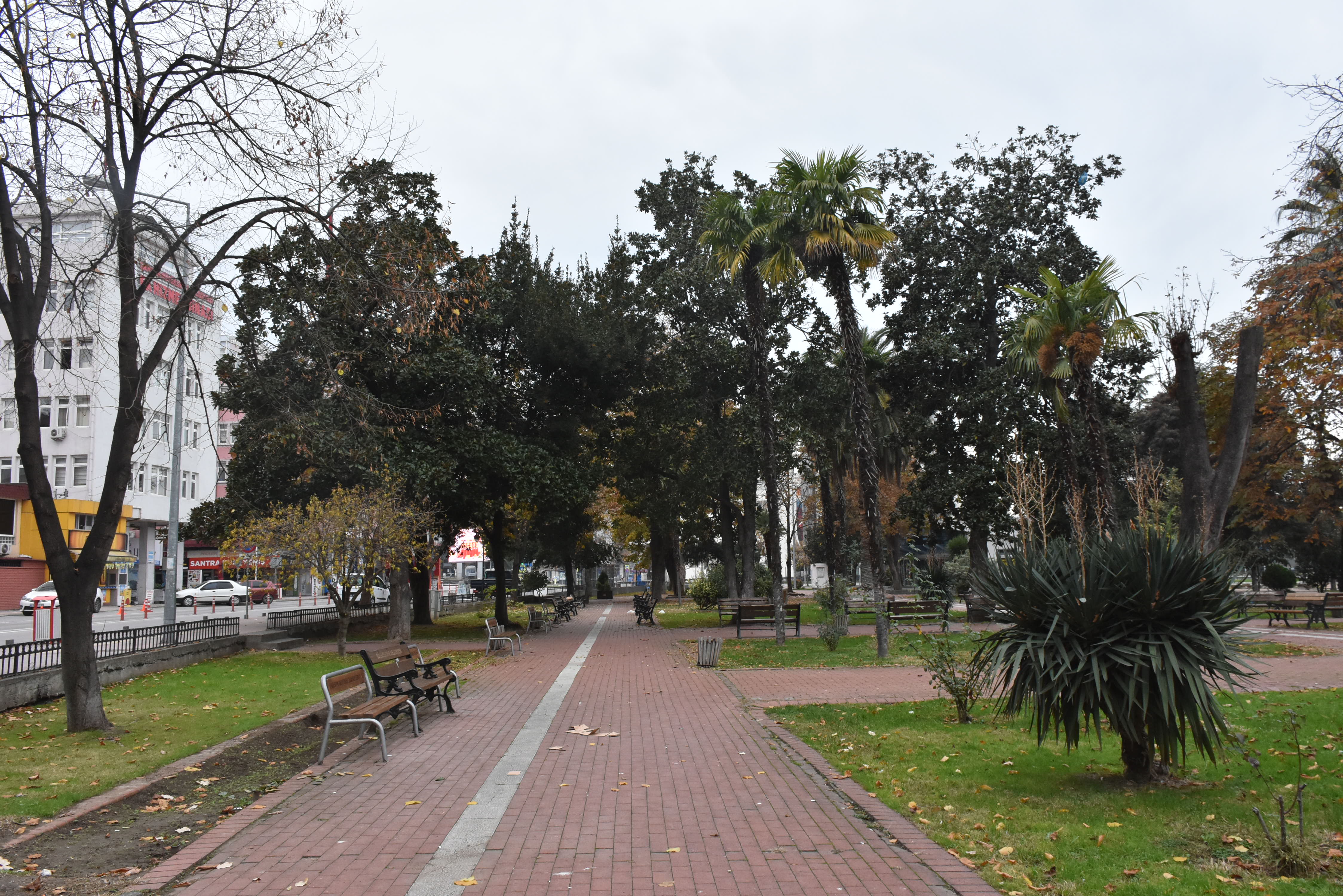 20201212-2-45820334-60557266.jpg