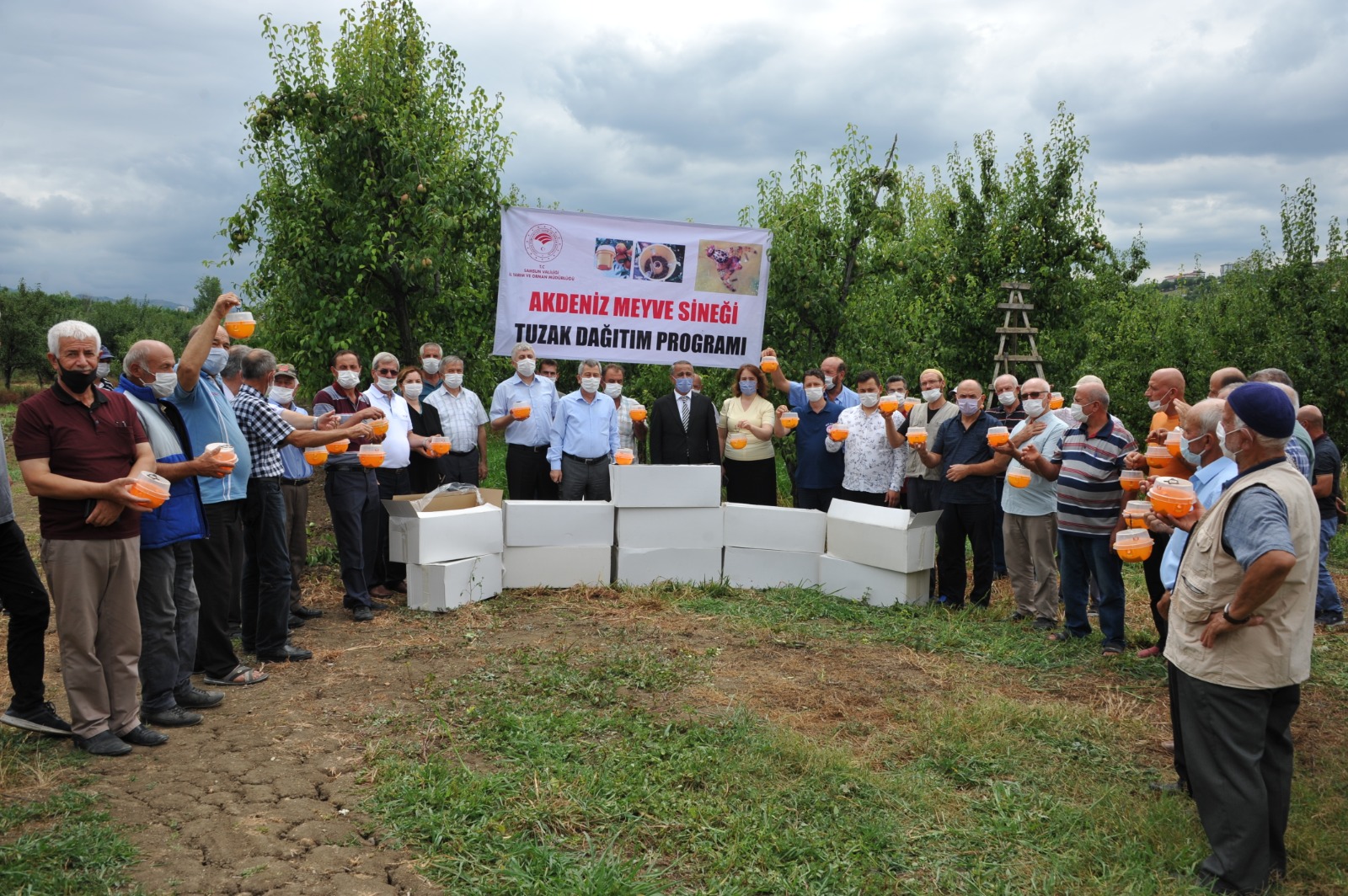 akdeniz-meyve-sinegi-2.jpg