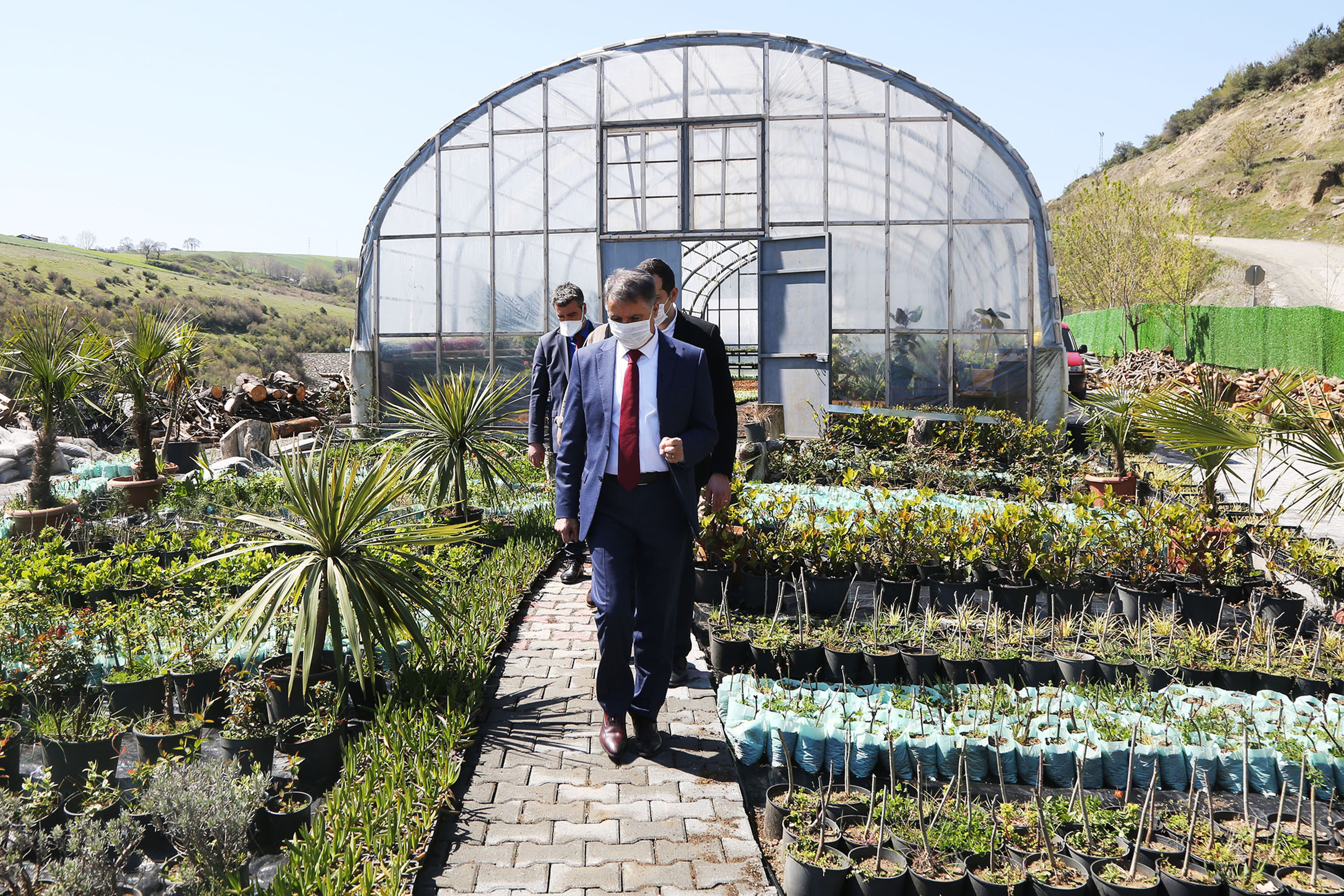 atakum-belediyesi-kendi-serasinda-200-bin-cicek-ve-cali-uretti-01.jpg