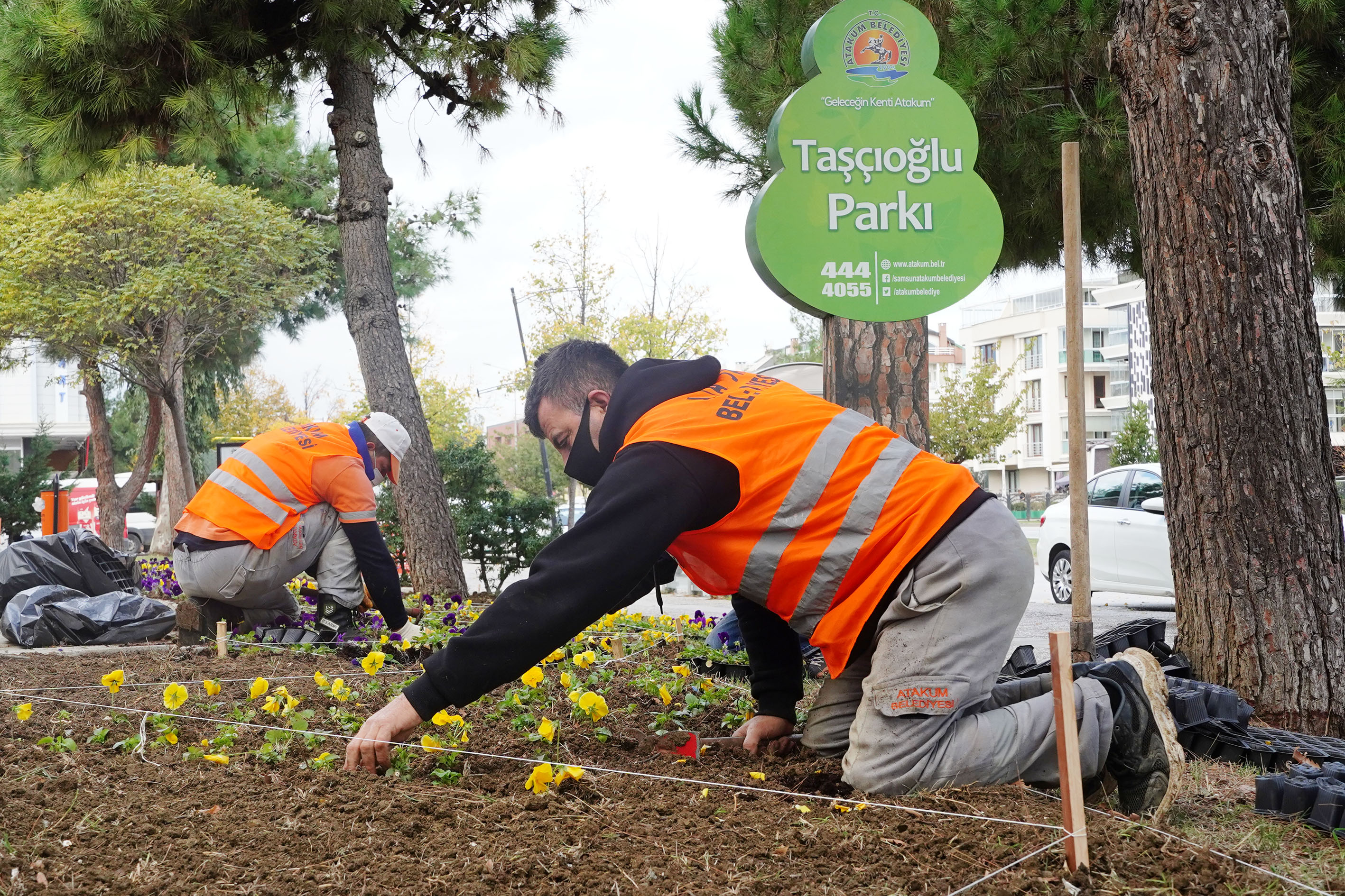 atakum-belediyesi-parklara-kis-bakimi-yapti-rengarenk-bitkiler-dikti-07.JPG