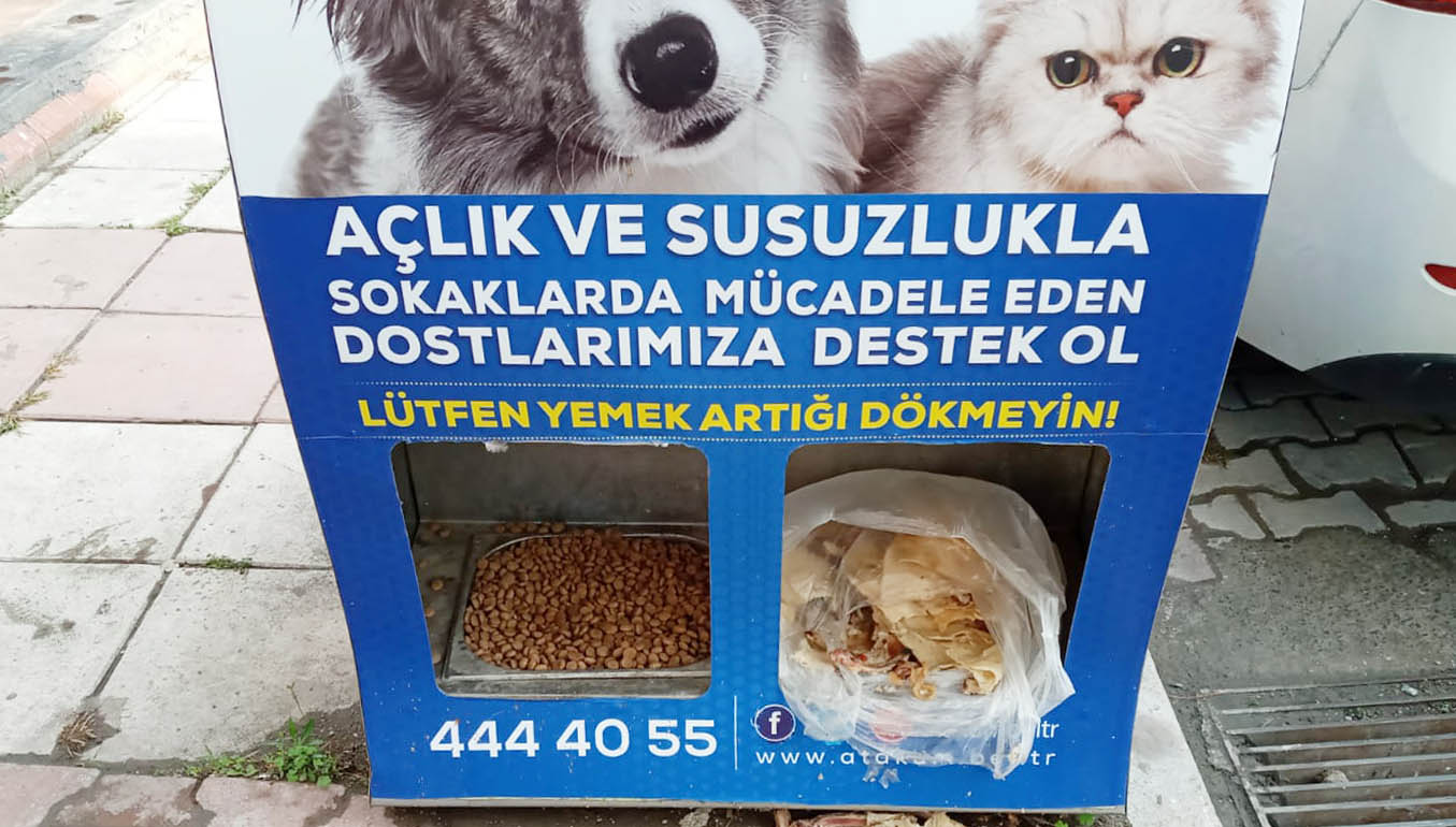 atakum-belediyesinin-patili-dostlara-mama-destegi-5-tonu-asti-05.jpg