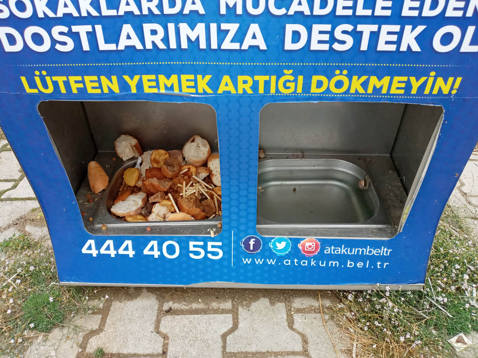 atakum-belediyesinin-patili-dostlara-mama-destegi-5-tonu-asti-06.jpg