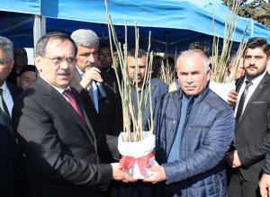 fidan-1.jpg