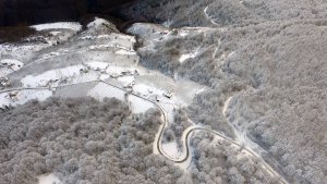 nebiyan-(2).jpg