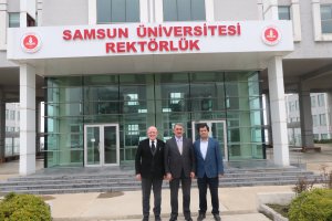 samsun.jpg