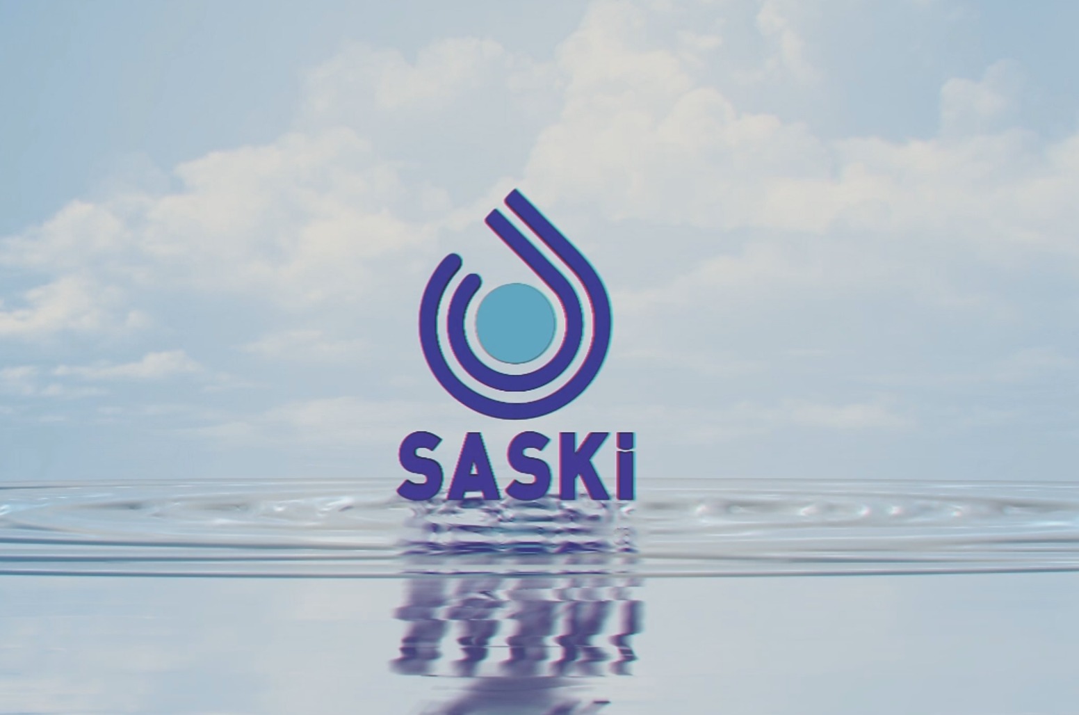 saski-1.jpg
