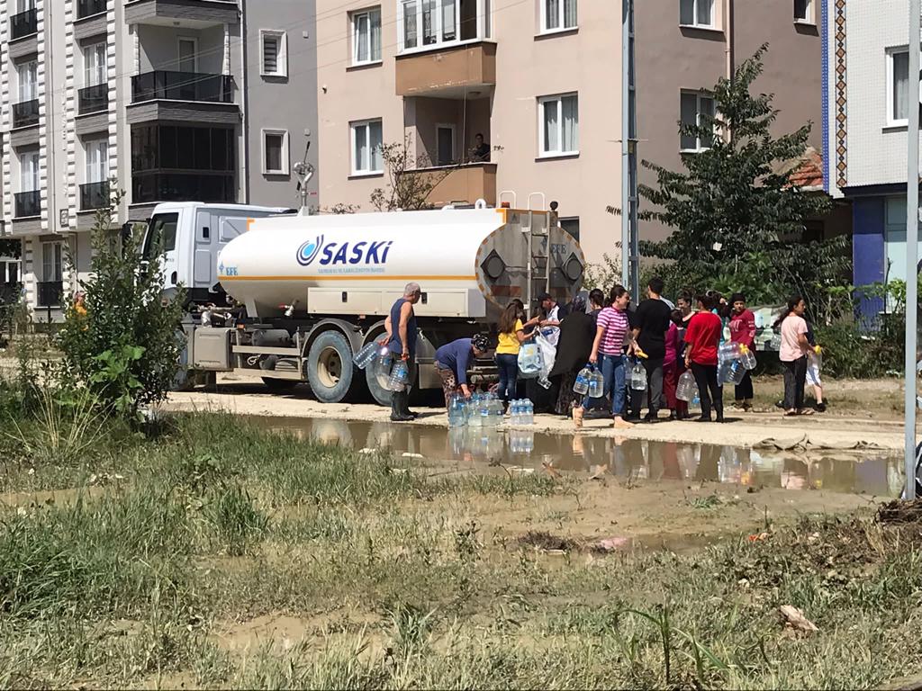 saski-5.jpeg