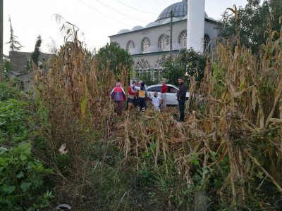 terme-(3).jpg