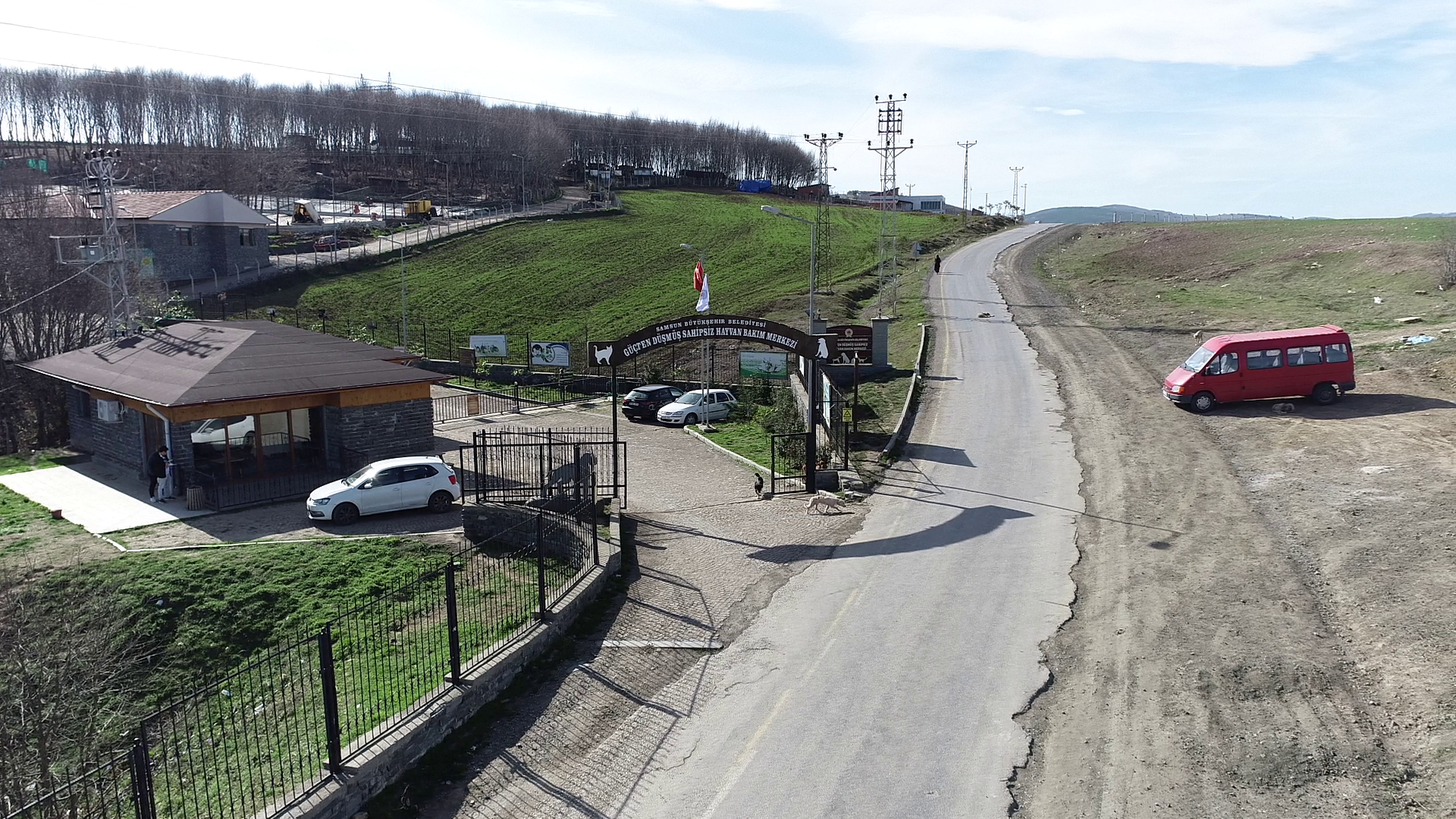 yarali-sokak-kopeklerine-buyuksehir-sefkat1.png